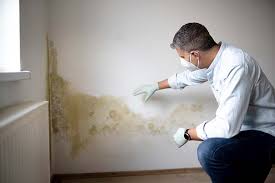 Best Water Damage & Mold Remediation  in Phoenix, IL